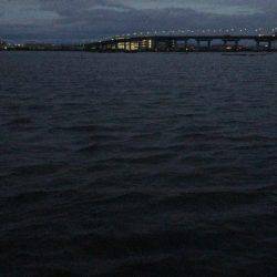 甲子園浜　ウェーディング　４５ｃｍ